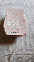 Scentsy Bar "Magnolia Linen" Rheinland-Pfalz - Bendorf Vorschau