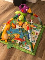 Fisher Price Spielebogen Rainforest Bayern - Greding Vorschau