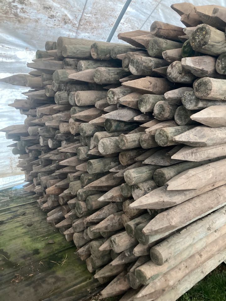 Holzpfosten Holzpfähle Beerenanlage Plantage in Unterpleichfeld