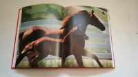 Rar Fachbuch:  The World of the Horse / Die Welt der Pferde Nordrhein-Westfalen - Wickede (Ruhr) Vorschau