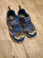 Geox Schuhe Kinderschuh Gr. 31  Blinksohe Sachsen-Anhalt - Aken Vorschau