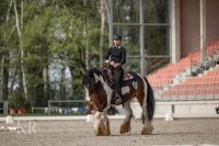 Schülerjob Schleswig-Holstein - Reinfeld Vorschau