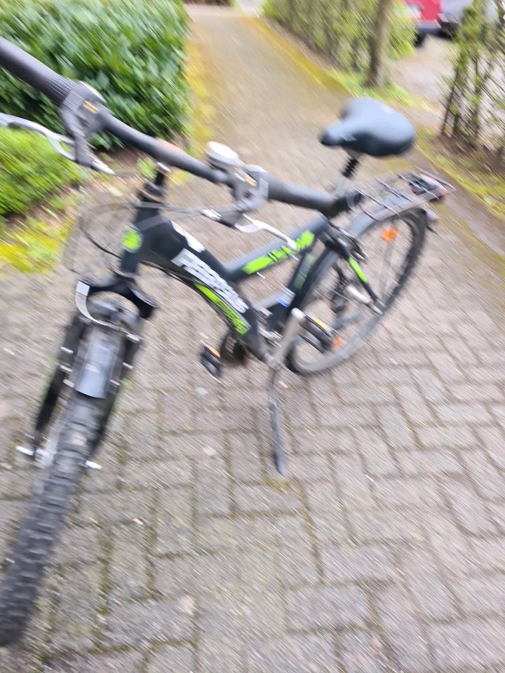 Pegasus Avanti Kinderfahrrad Jugend fahrrad  26 Zoll in Düsseldorf