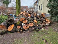 Brennholz * 5 bis 6 SRM * 46562 Voerde * Holz Kamin Nordrhein-Westfalen - Wesel Vorschau