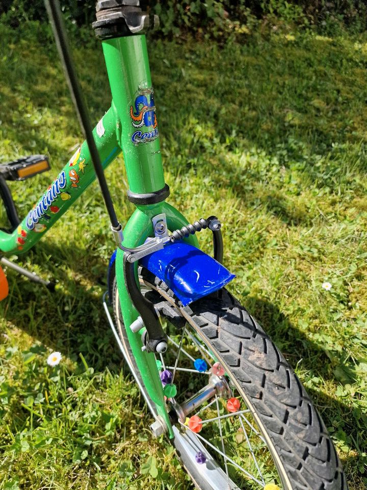 Fahrrad 16 Zoll für Kinder Kinderfahrrad in Leipzig