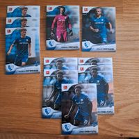 +TAUSCH + Topps Chrome/Stadium, Match Attax, Panini VFL BOCHUM Nordrhein-Westfalen - Castrop-Rauxel Vorschau