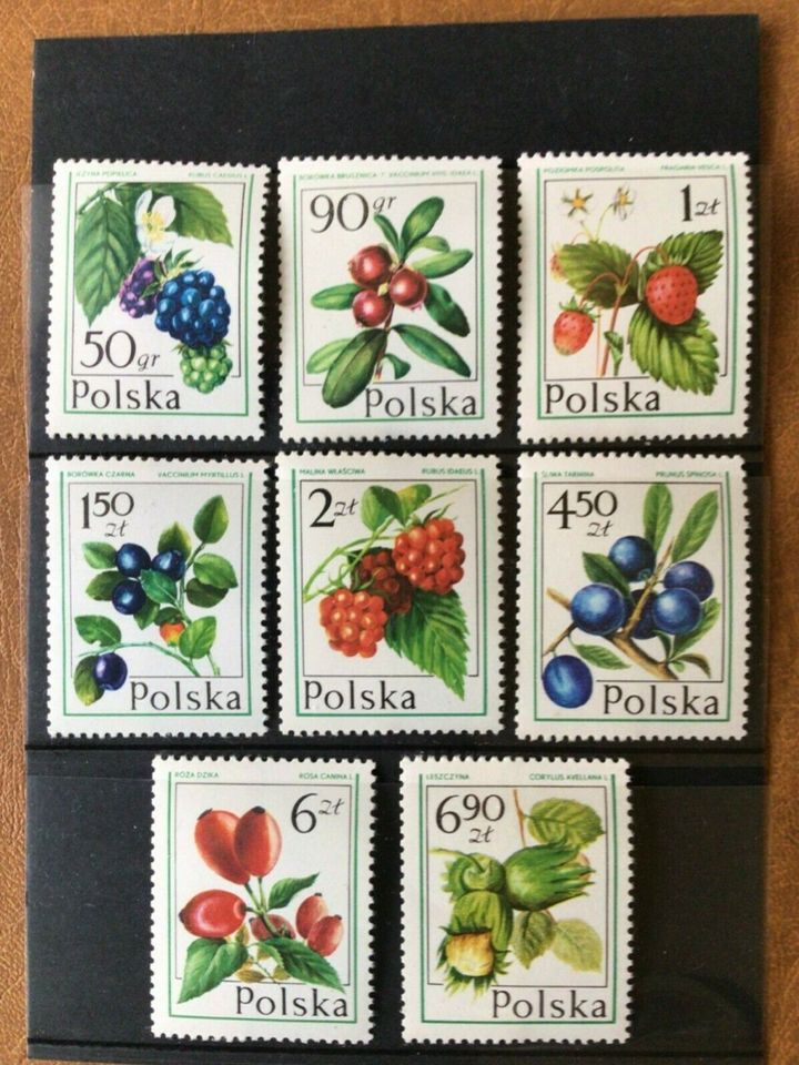 Polen 1977  Waldfrüchte Nr.: 2484 - 2491 postfrisch in Jahnsdorf