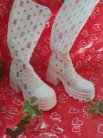 Damen Stiefel Sommer  Leipzig - Leipzig, Südvorstadt Vorschau