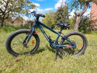 Mountainbike Orbea MX Dirt* Kinderfahrrad* 20 Zoll* blue-red Sachsen-Anhalt - Apenburg-Winterfeld Vorschau