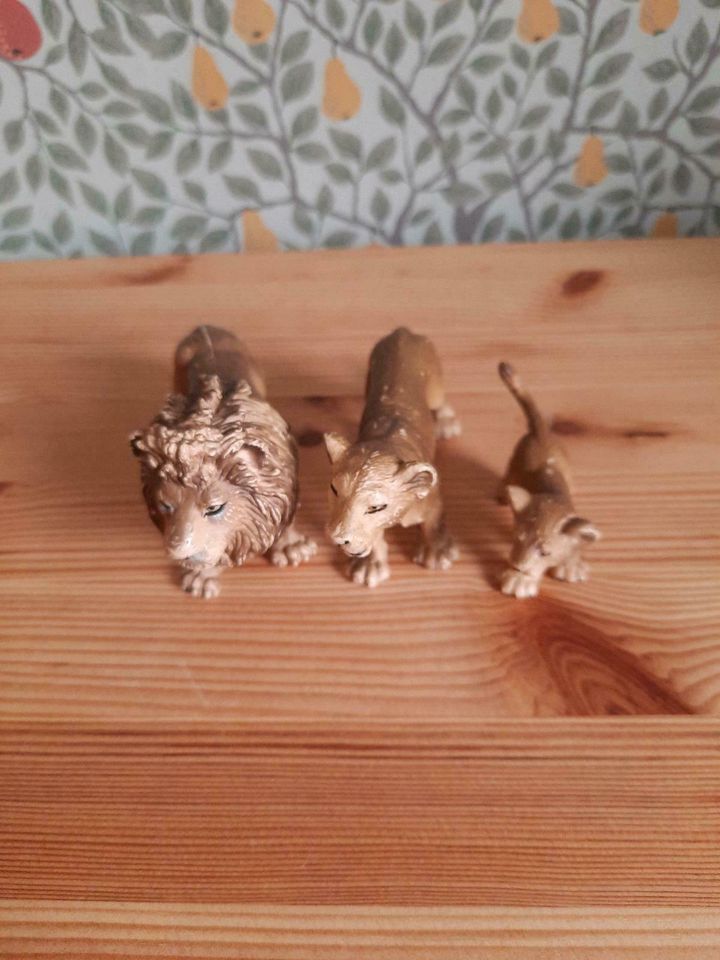 Schleich Löwenfamilie in Drochtersen