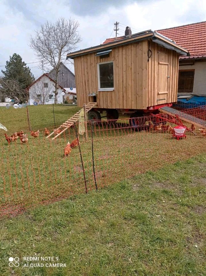 Kindergeburtstag auf dem Bauernhof in Kirchheim in Schwaben