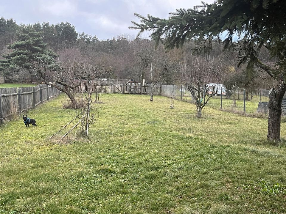 Doppelhaushälfte in ruhiger und beliebter Lage von Eisenach in Eisenach