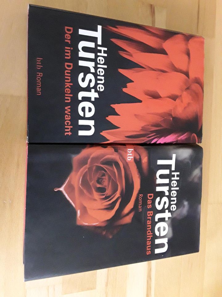 Bücher Helene Tursten in Villingen-Schwenningen