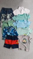 10 Teile Jungen Sommer Set Paket Shorts Shirts Ninjago 110 116 Baden-Württemberg - Kornwestheim Vorschau