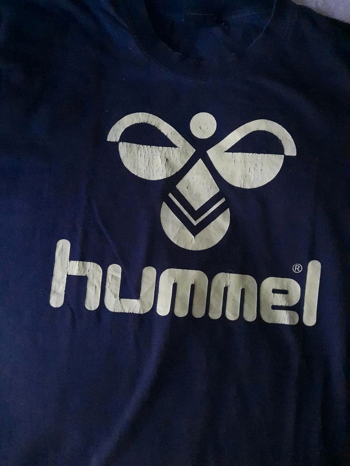 Hummel T-shirt Shirt Sportshirt Handball blau Gr. M in Lübeck