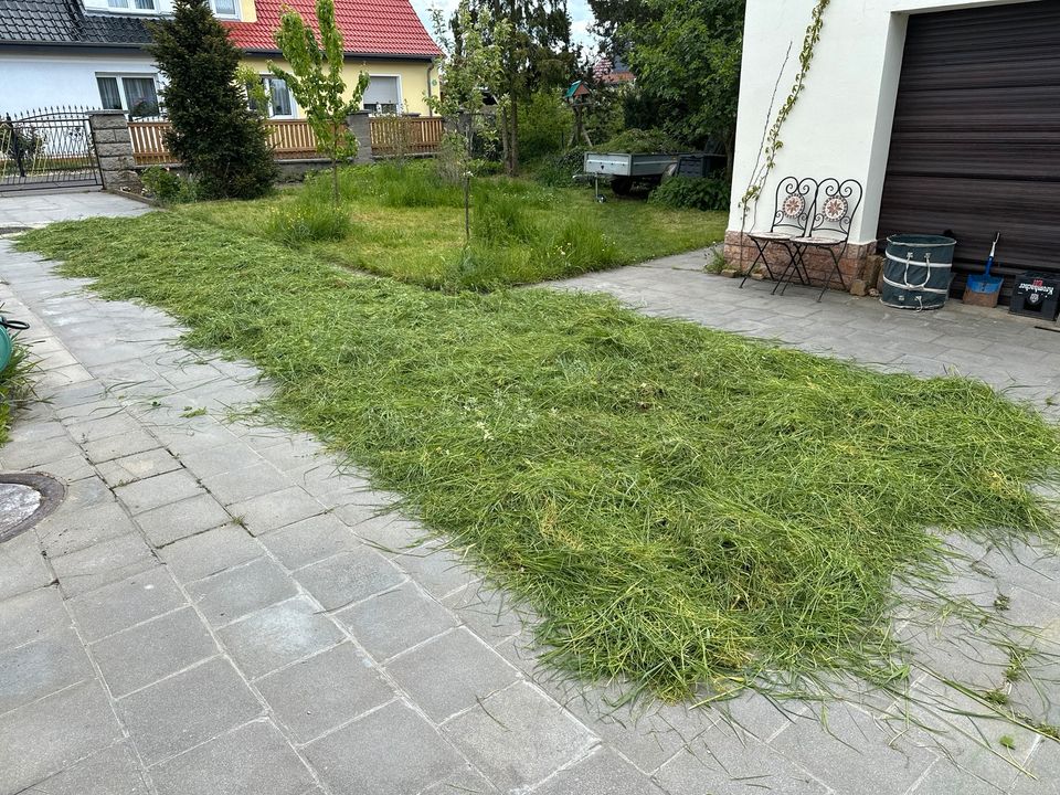 Gras von der Gartenwiese mit Sense geschnitten in Delitzsch