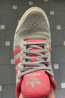 Adidas Schuhe hellgrau/pink - Gr.42 Hessen - Lauterbach (Hessen) Vorschau