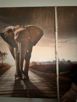 Elefantenleinwand Frankfurt am Main - Niederursel Vorschau