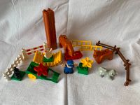 Lego Duplo Konvolut: Bauernhof (2) Nordrhein-Westfalen - Leverkusen Vorschau