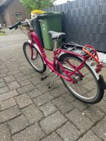 Puky Fahrrad Nordrhein-Westfalen - Meckenheim Vorschau