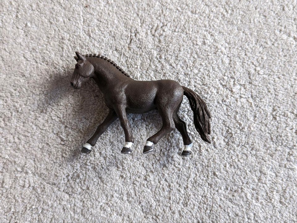 Schleich | Deutsches Reitpferd | 13926 | Horse Club in Rohrbach