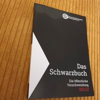 Das Schwarzbuch 2021/22 öffentliche Verschwendung Brandenburg - Heideblick-Walddrehna Vorschau