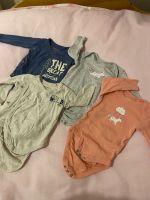 Lupilu 4er Pack Newborn Baby Body (50/56) Stuttgart - Stuttgart-Mitte Vorschau