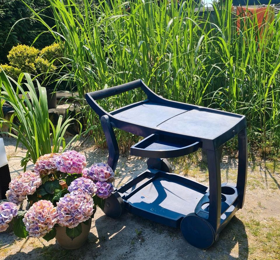 Servierwagen Beistelltisch Gartenmöbel Schrebergarten in Oldenburg