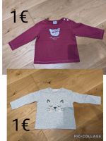 2x Langarmshirt Katze 62 Bayern - Langquaid Vorschau