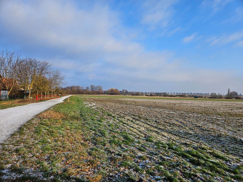 Ein Bungalow, der begeistert im kommenden Baugebiet in Woltwiesche. in Lengede