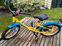 Pegasus Fahrrad / Kinderfahrrad 12 Zoll mit Eulen Brandenburg - Potsdam Vorschau