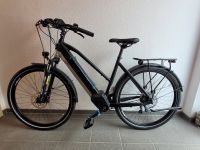 PROPHETE eSUV E-Bike 28, neuwertiges hochwertiges 100 Nm  E-Bike Niedersachsen - Braunschweig Vorschau