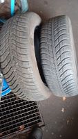 2 Allweterreifen 215/60 R17 96H Niedersachsen - Garbsen Vorschau