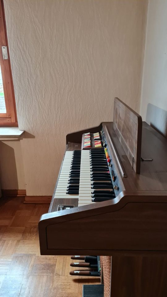 Hammond Heimorgel Klavier in Uslar