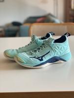 Mizuno Wave Momentum Volleyballschuhe Hallenschuhe Sportschuhe 39 Bayern - Aschaffenburg Vorschau