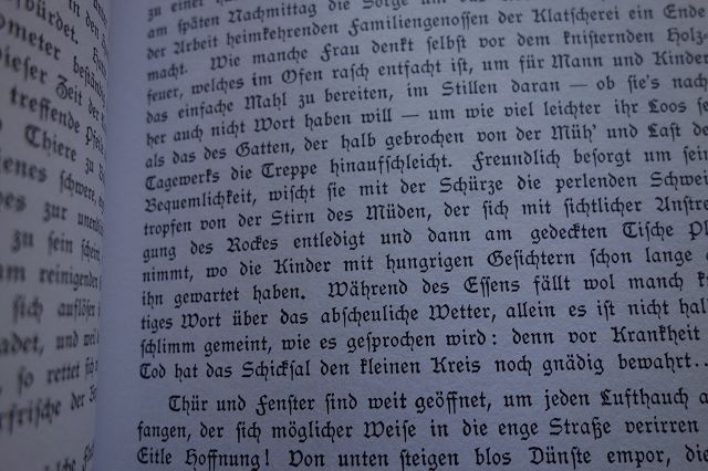 Klein-Deutschland Bilder aus dem New Yorker Alltagsleben 1886 USA in Egelsbach