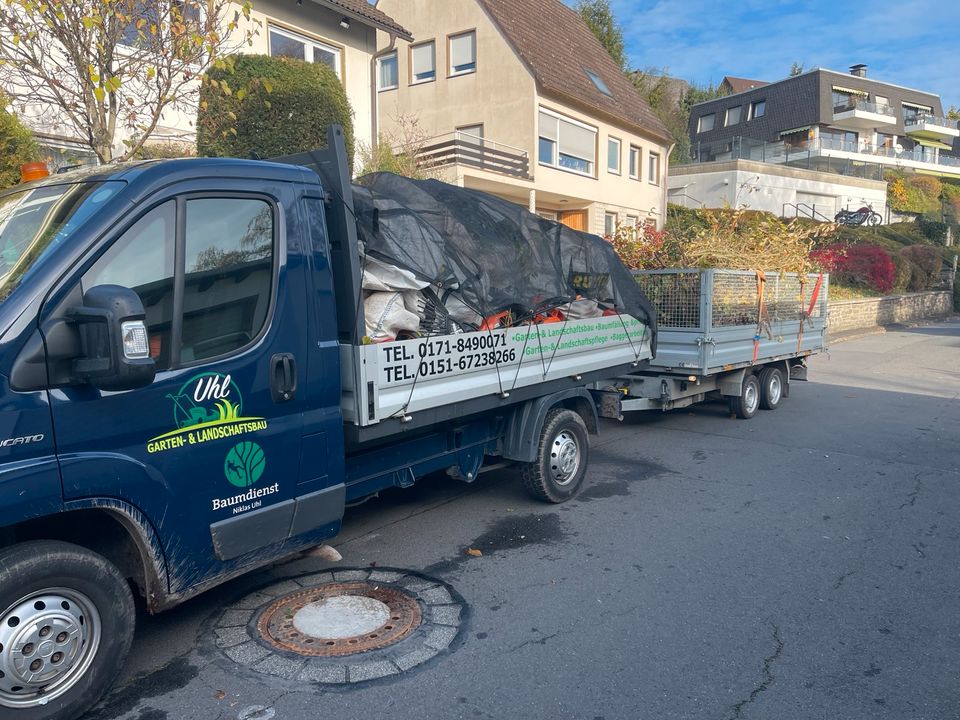 Baumfällung/Baumpflege/Gartenpflege vom Fachmann! in Siegen