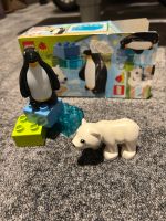 Lego Duplo 10501 - Polartiere Nordrhein-Westfalen - Grefrath Vorschau