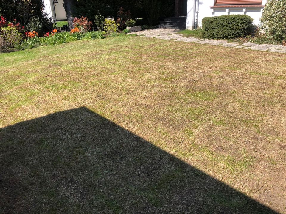 Gartenarbeit Vertikutieren Rasenpflege in Rheda-Wiedenbrück