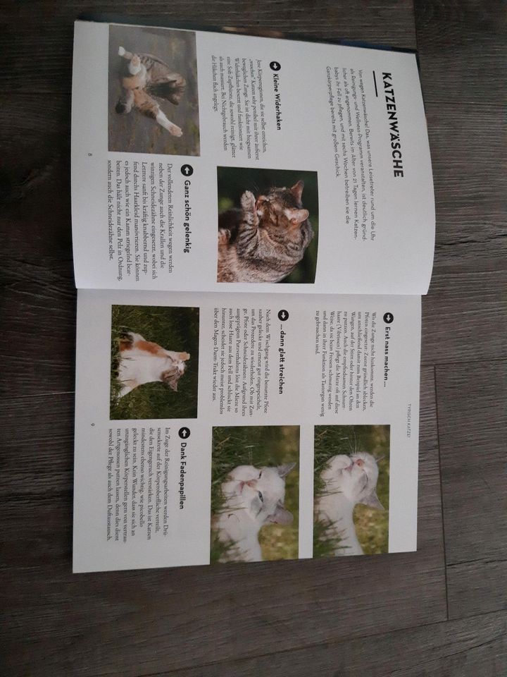 Buch Was denkt meine Katze in Schlema