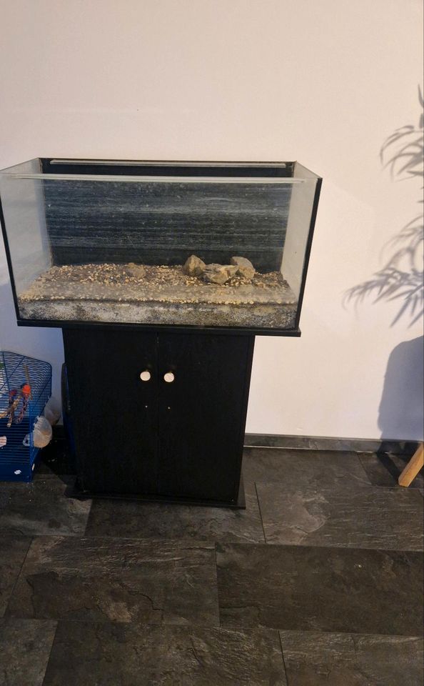 Aquarium mit ein schrank zusammen in Oberhausen