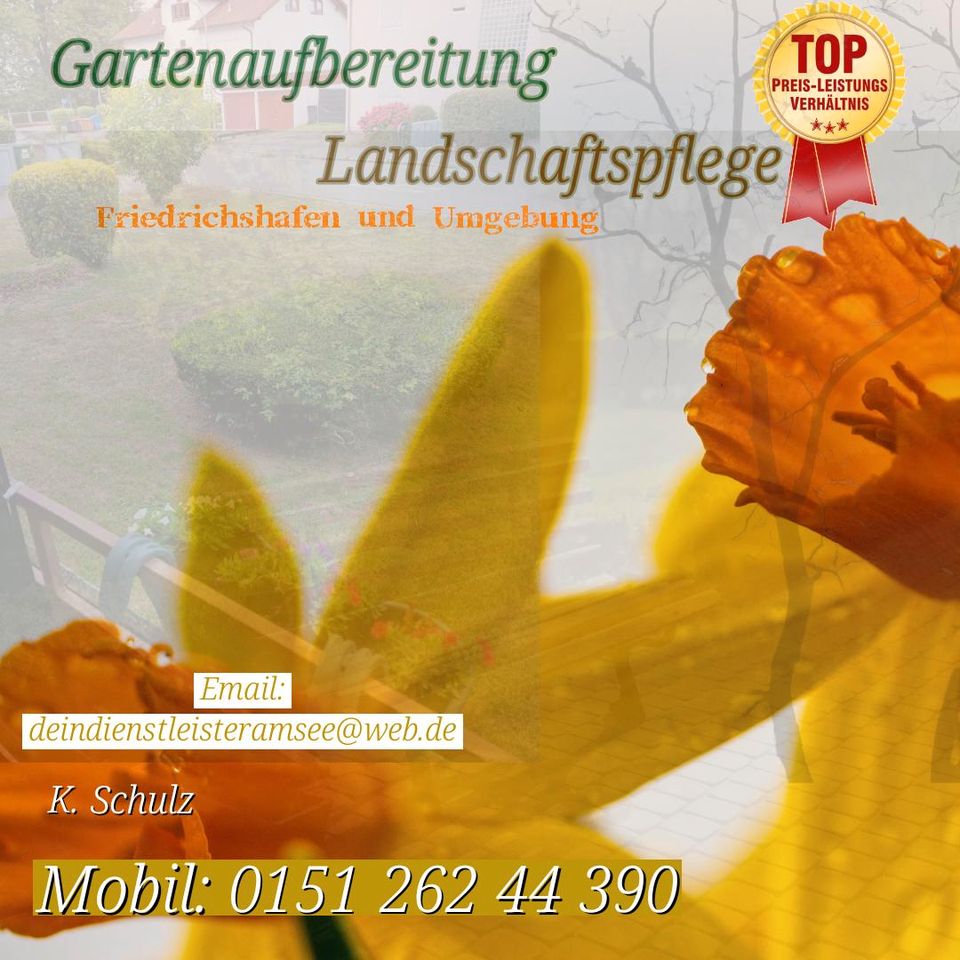 Dienstleistungen/ Garten / Haus in Friedrichshafen