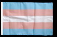 Transgender Stoff-Flagge - Groß Niedersachsen - Syke Vorschau