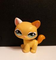 Littlest pet-shop Katze Kr. München - Oberschleißheim Vorschau