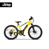 Jeep Teen E-Bike TR 7002 Baden-Württemberg - Bühl Vorschau