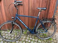 Carver Cityzen 110 Herrenrad Cityrad Tourenrad 28“ Thüringen - Apolda Vorschau