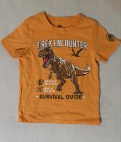 T-Rex T-Shirt 110/116 neuwertig Rheinland-Pfalz - Bendorf Vorschau