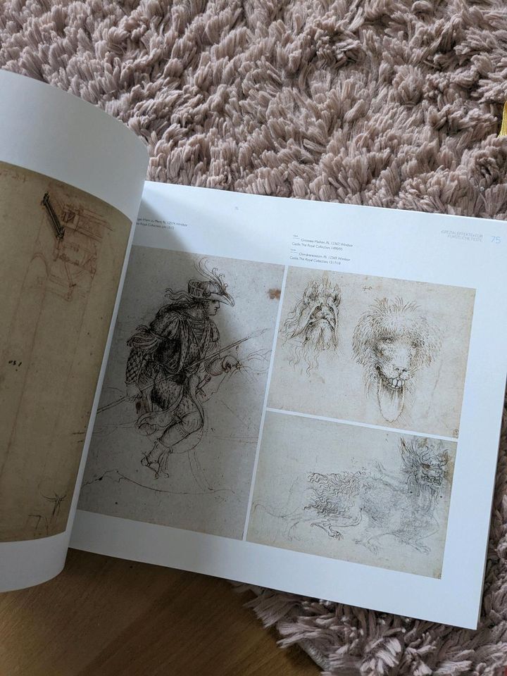 Leonardo da Vinci Vorbild Natur Zeichnungen und modelle in Dresden