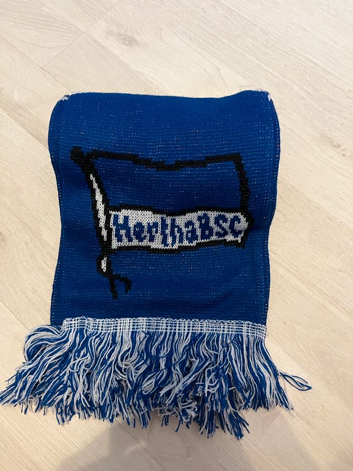 Hertha BSC Fanschal in Berlin