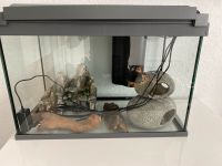 Tetra Aquarium 60L/Deko Nordrhein-Westfalen - Remscheid Vorschau